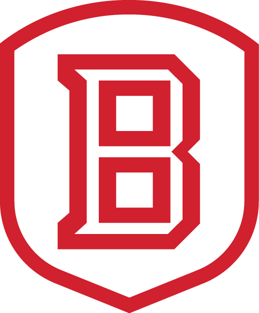 Bradley Braves 2012-Pres Secondary Logo t shirts DIY iron ons v2